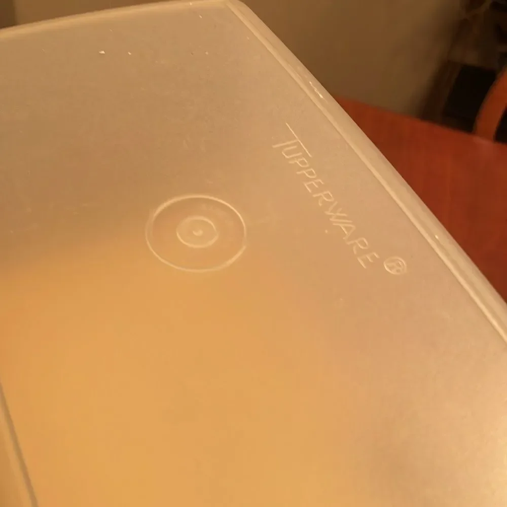 Vintage Tupperware Pak N Store Sheer Container Tan Seal Lid